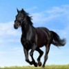 https://cdn.ujeeb.com/users/100*100/uRriLpCxy8y5p7WuadyfbdBKga7dQEvy.jpg