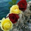 https://cdn.ujeeb.com/users/100*100/uSeLbcd91AbrZ1l86HEk3IeJ3T2eW7kT.jpg