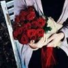 profile/هدى-ر