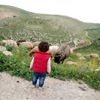 مستخدم مجهول