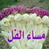 https://cdn.ujeeb.com/users/100*100/ur0lG3aUg9KeGD2XR0jD9C7PwQafl7d2nsU3F7og.jpg