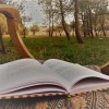 مستخدم مجهول
