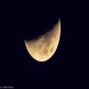 profile/هناء-العقده