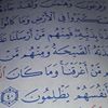 مستخدم مجهول