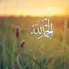 مستخدم مجهول