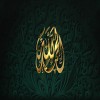 profile/أحمد-حماده
