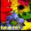 مستخدم مجهول