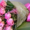 https://cdn.ujeeb.com/users/100*100/wn4EBWR60KuEmNCEqXhSaoEiNUZoAFDk.jpg