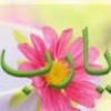 profile/رمز-الوفاء