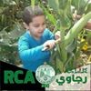 profile/mounir-smim