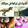 profile/abd-arrahman-meddah