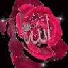 مستخدم مجهول