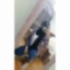 profile/رهف-ابو-اصبيح