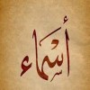 profile/أسماء-الجاموس
