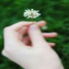 profile/صفاء-نور-الهدى