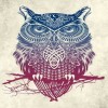 profile/مؤمن-نصر-المقبل